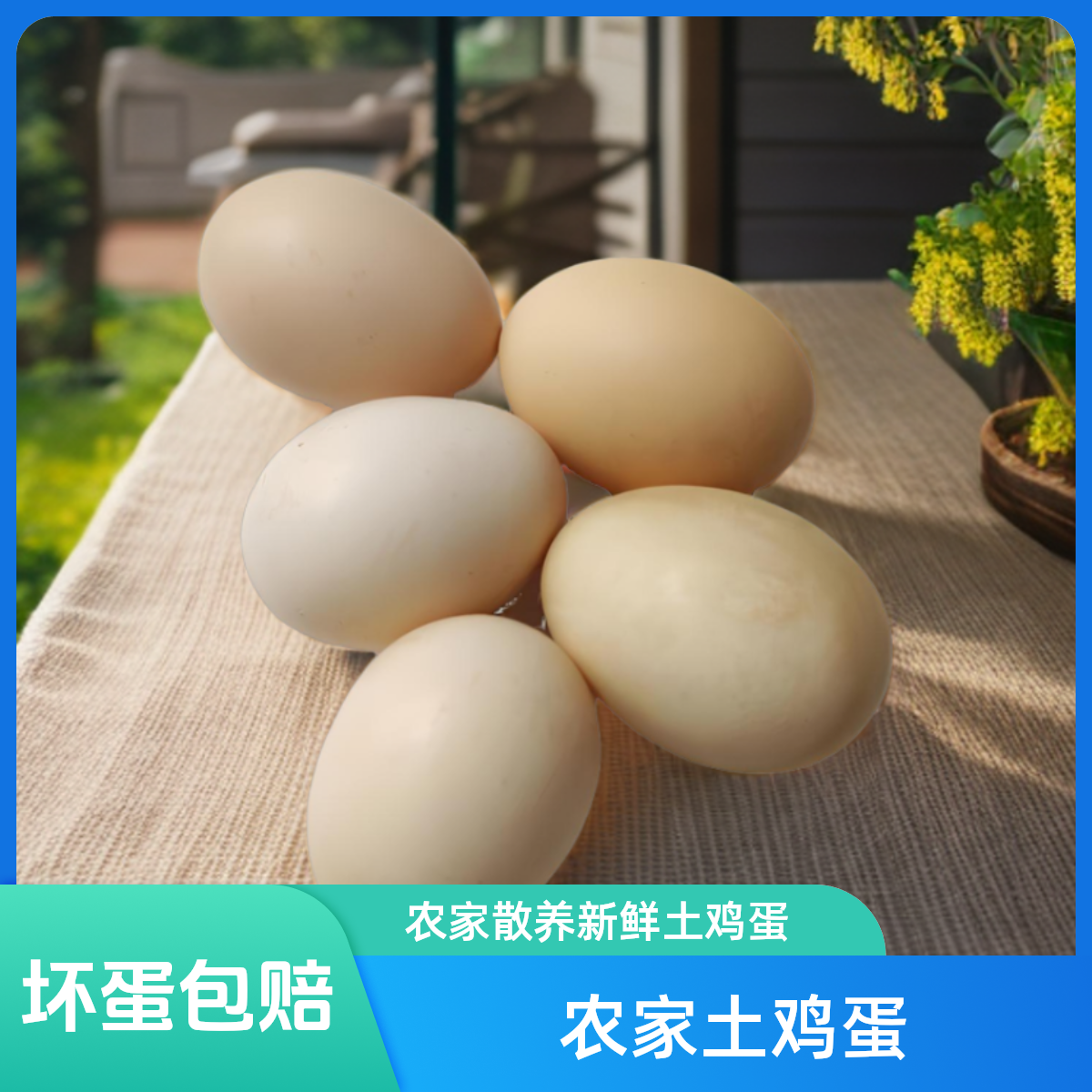 顺丰快递 保证农家散养新鲜土鸡蛋 鸡蛋 散装30枚