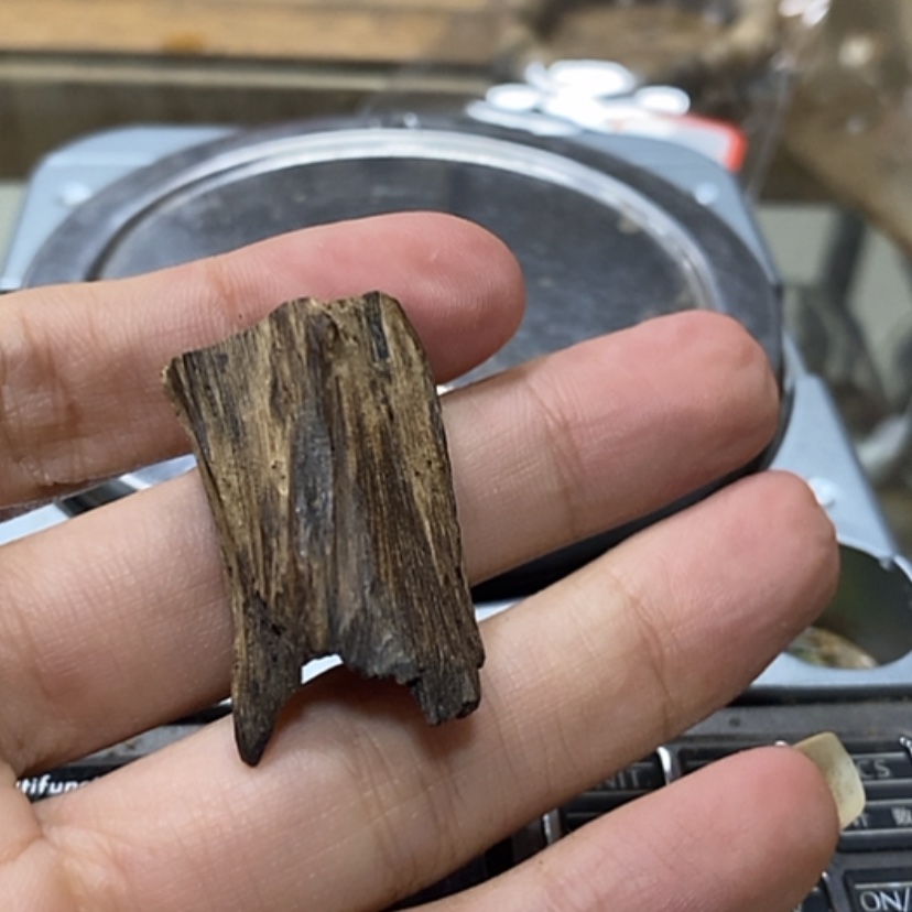 【闪购商品】燕**?达拉干3.5克