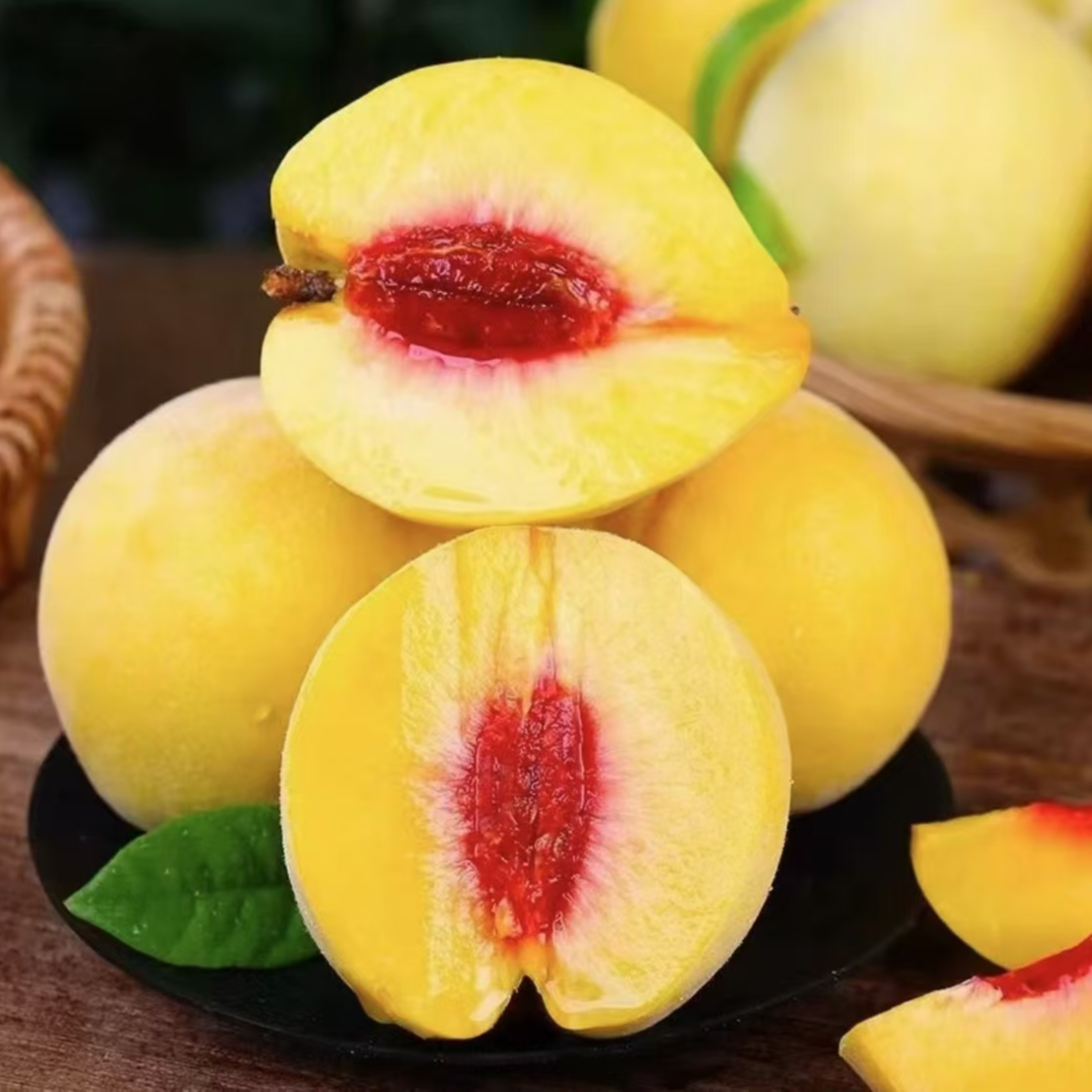 【黄桃桃树苗】正宗黄桃苗巨型黄桃盆栽地栽种植阳台庭院种植果树苗