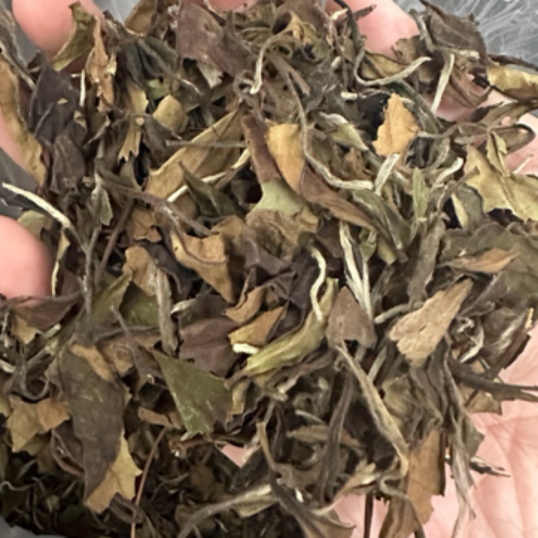 福鼎白茶 2018年白鹭寿眉 250克