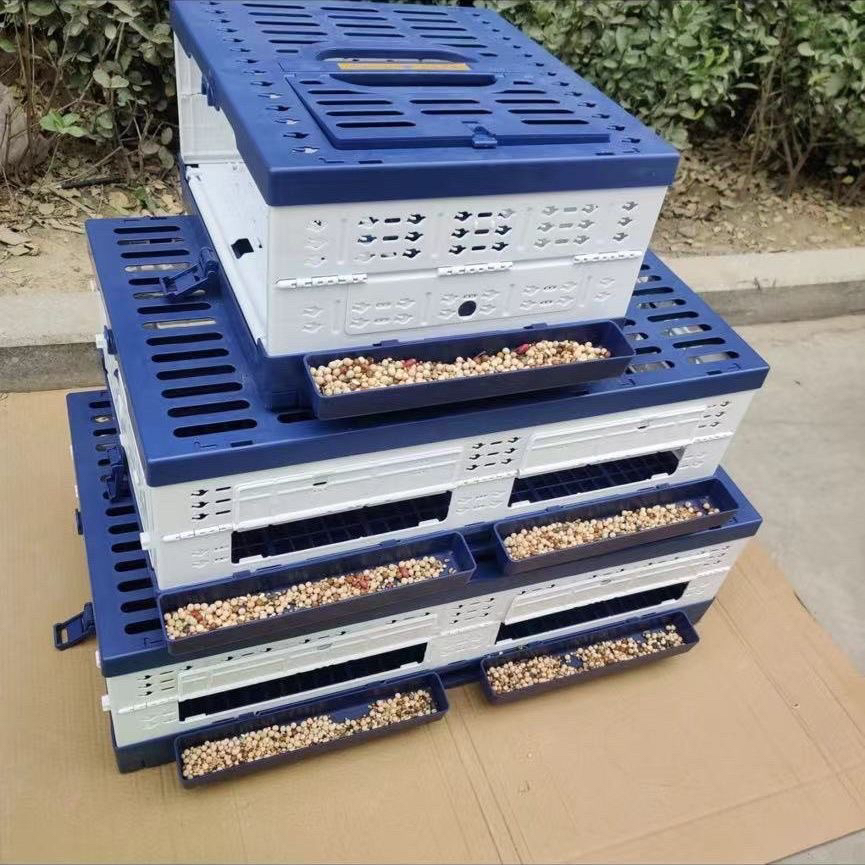 启航放飞笼鸽子笼塑料折叠训放笼