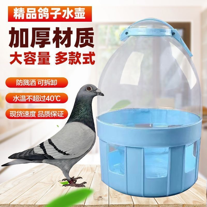 鸽具用品加厚鸽子水壶饮水器蓝色绿色随机发