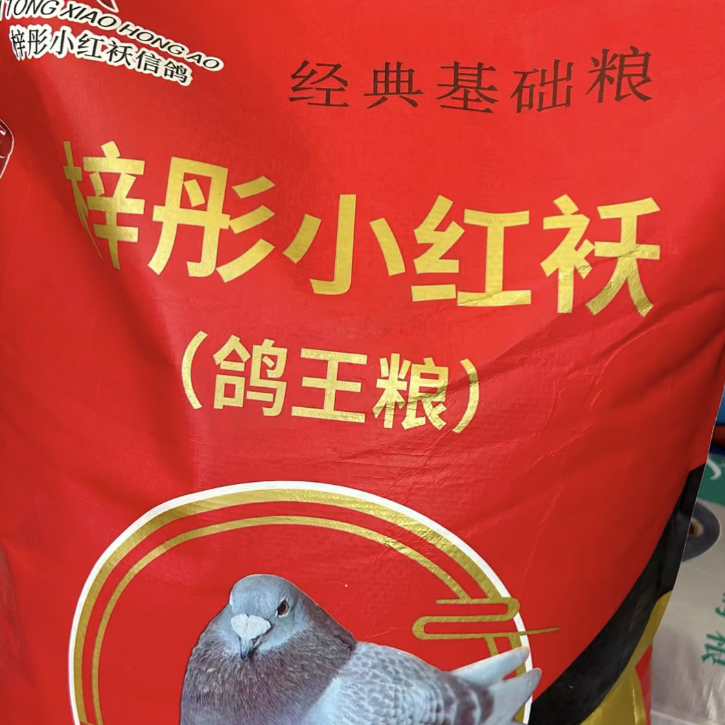 鸽粮梓彤小红袄经典基础粮