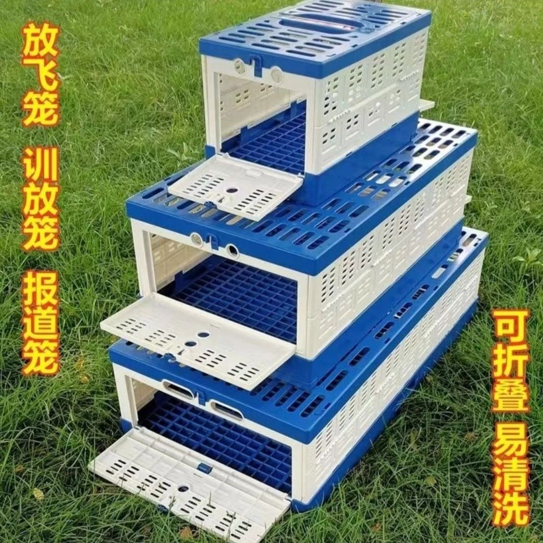 鸽具放飞笼领航折叠放飞笼