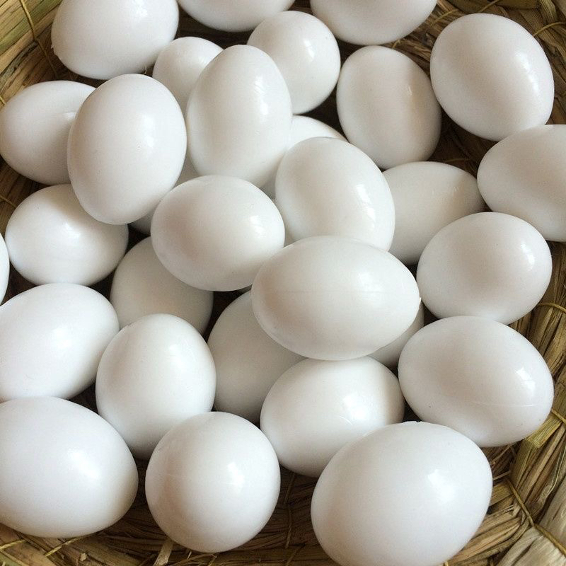 鸽子蛋实心仿真鸽子用品非注水实心塑料鸽子假蛋