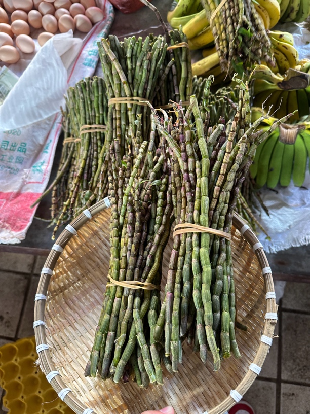 云南石斛鲜条 集市现收