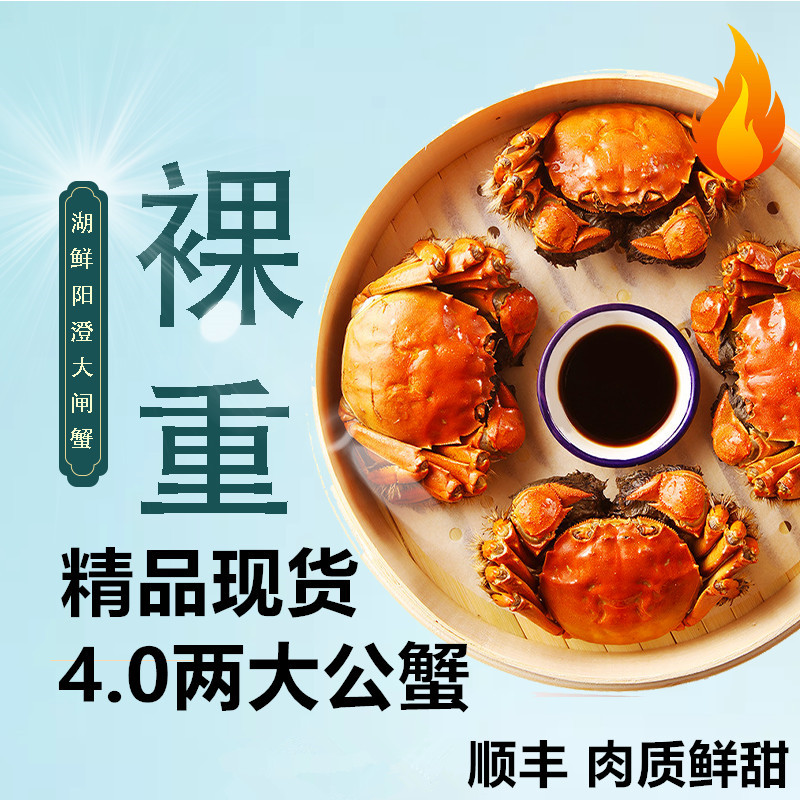 【4.0两全公蟹】现货 大蟹鲜活大闸蟹精品礼盒6-10只顺丰固城湖螃蟹