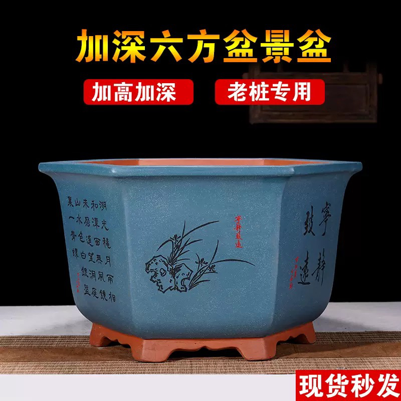 宜兴紫砂花盆六方形海棠梅花老桩盆加高加深陶瓷盆三角梅专用花盆