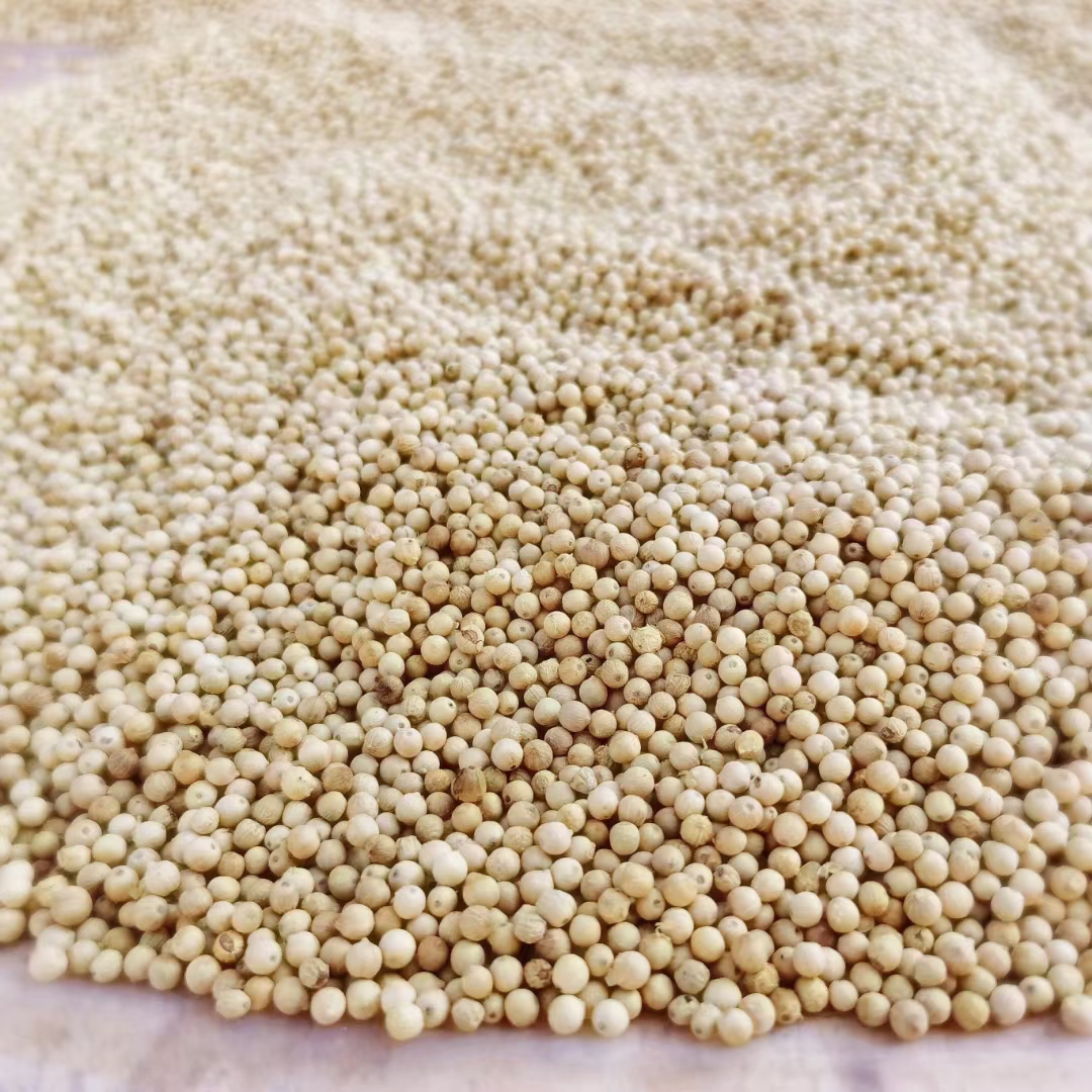 海南白胡椒农家胡椒辛辣