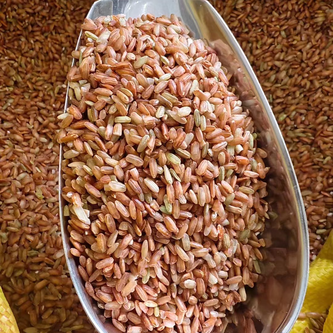 山兰米清香软糯海南山兰稻米红米深山稻米黎族农家大米