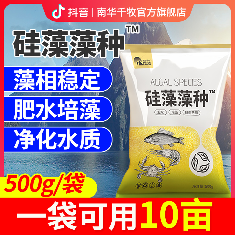 【南华精选】硅藻藻种水产养殖绿藻硅藻种鱼虾蟹塘复合藻种肥水调水