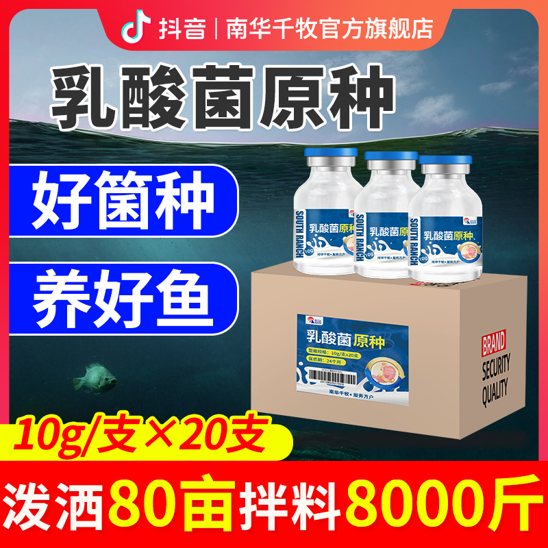 【南华精选】乳酸菌 原种鱼塘 虾蟹塘调水净水  好菌种专用水产养殖