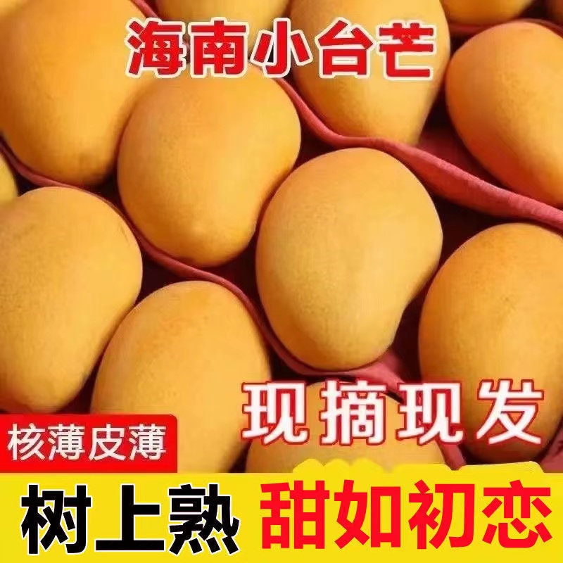 小台农芒果新鲜3-9斤现摘现发小台芒应当季热带水果特产整箱包邮