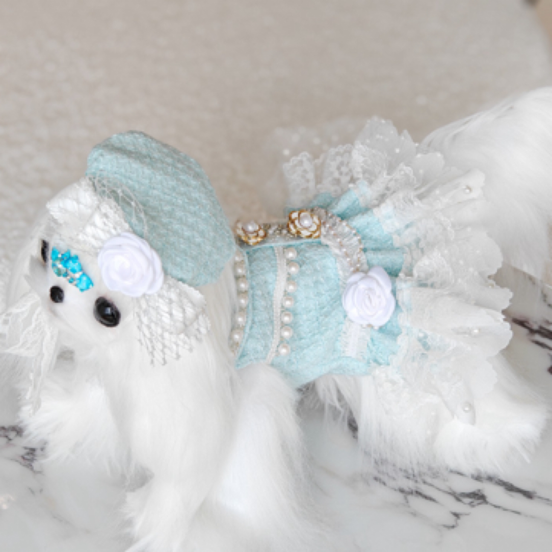 宠物衣服巴黎女孩蓝色