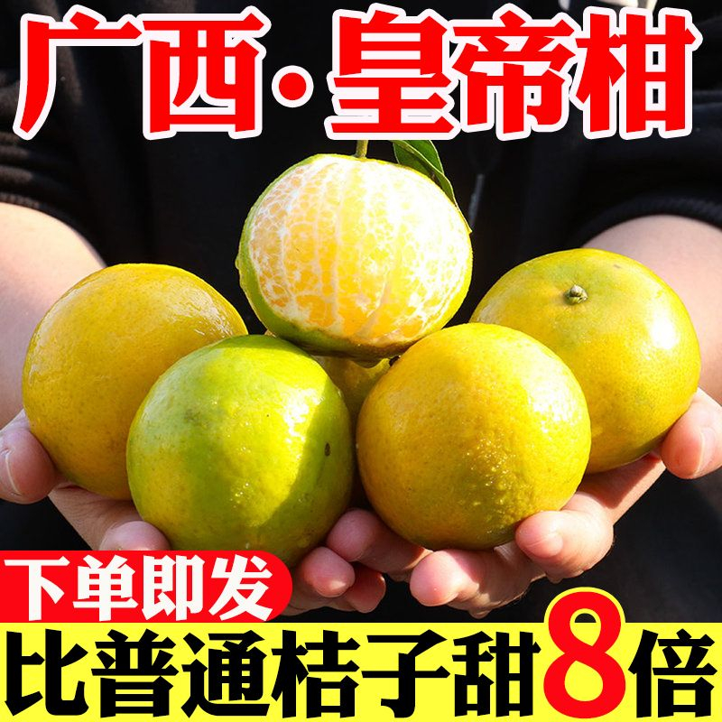 【现摘现发】广西皇帝柑新鲜贡柑水果柑橘桔子沃柑蜜桔砂糖桔2-9斤