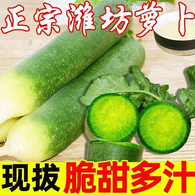 正宗水果萝卜带泥现拔现发新鲜生吃脆甜即食青萝卜微辣批发1-9斤