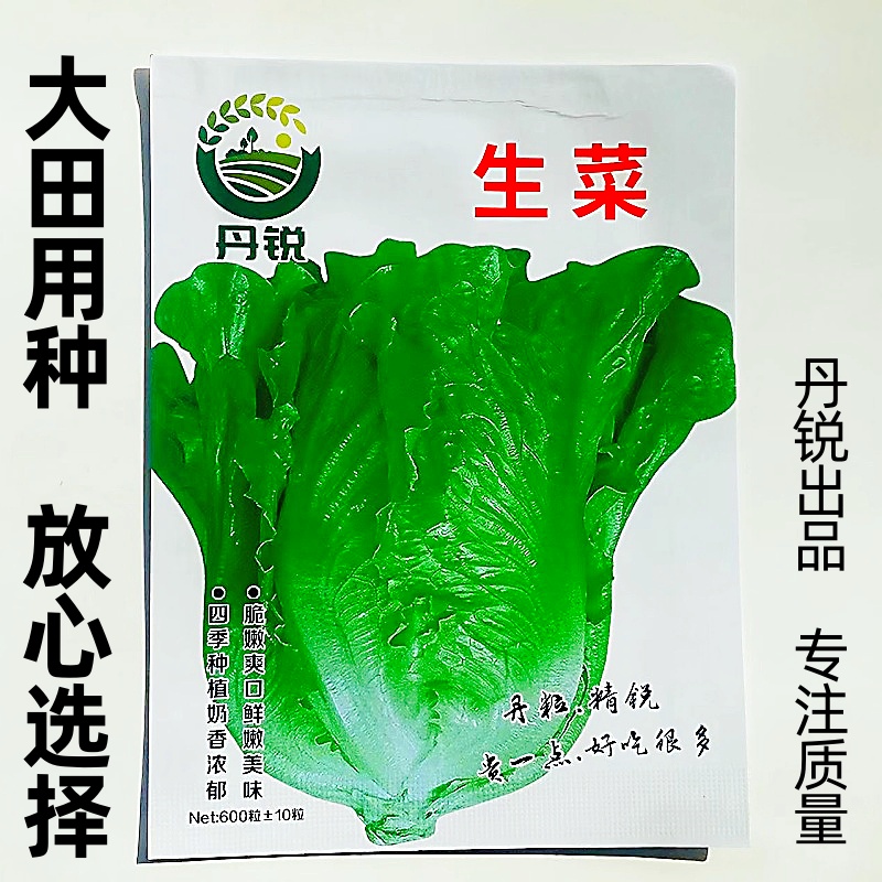 丹锐四季生菜种子高产蔬菜盆栽庭院菜籽种速生耐热耐抽脆嫩家庭菜