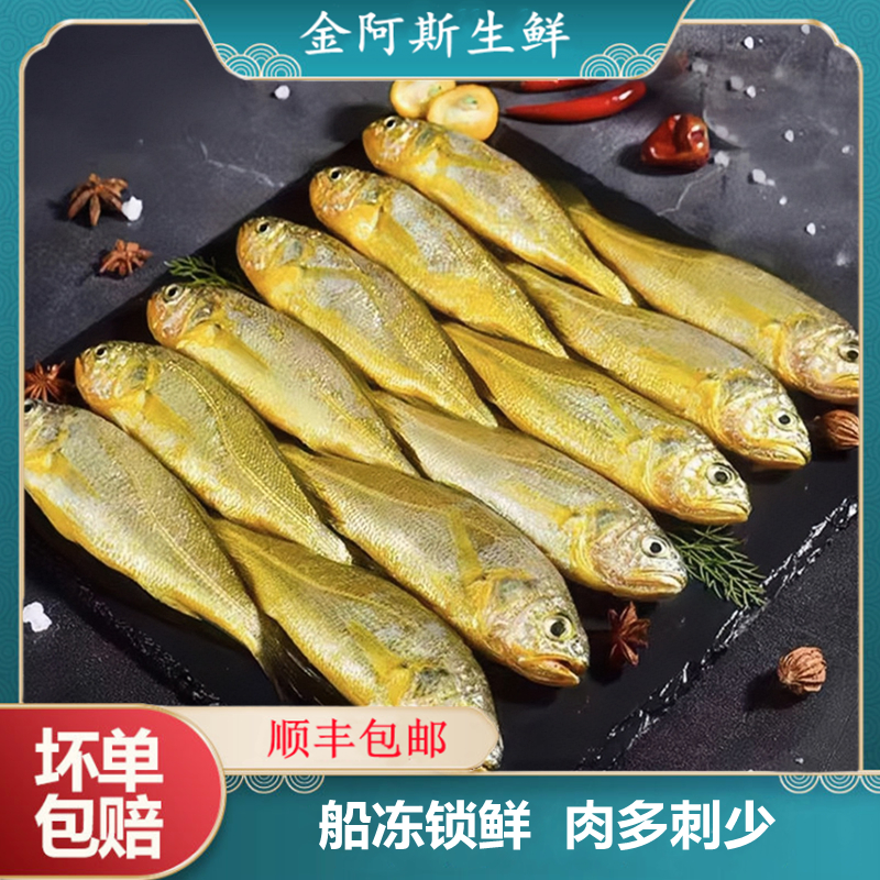 新鲜大号小黄鱼海捕鲜活冷冻带冰黄花鱼肉质鲜嫩烧烤香煎海鲜批发