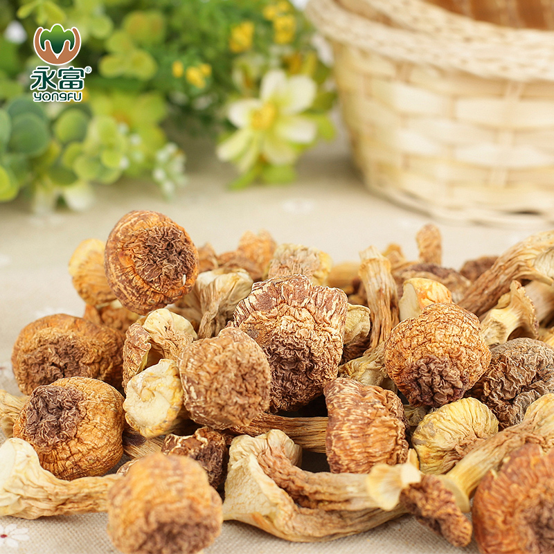 【永富】大兴安岭姬松茸100g