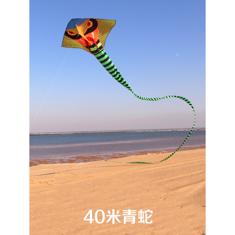 潍坊新款大型青蛇火蛇风筝 高档巨型超大长尾风筝 好飞易飞保飞