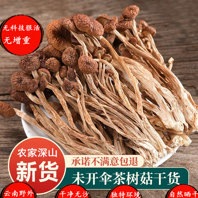 野山茶树菇新货干货云南特产地发货深山干茶树菇干货农家日晒蘑菇