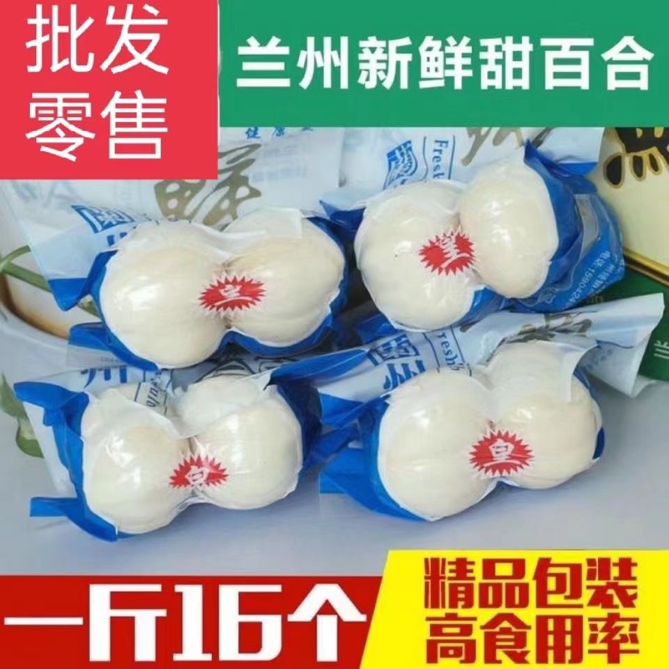 新挖兰州鲜百合兰州百合无硫天然食用百合口感粉糯产地直供包邮