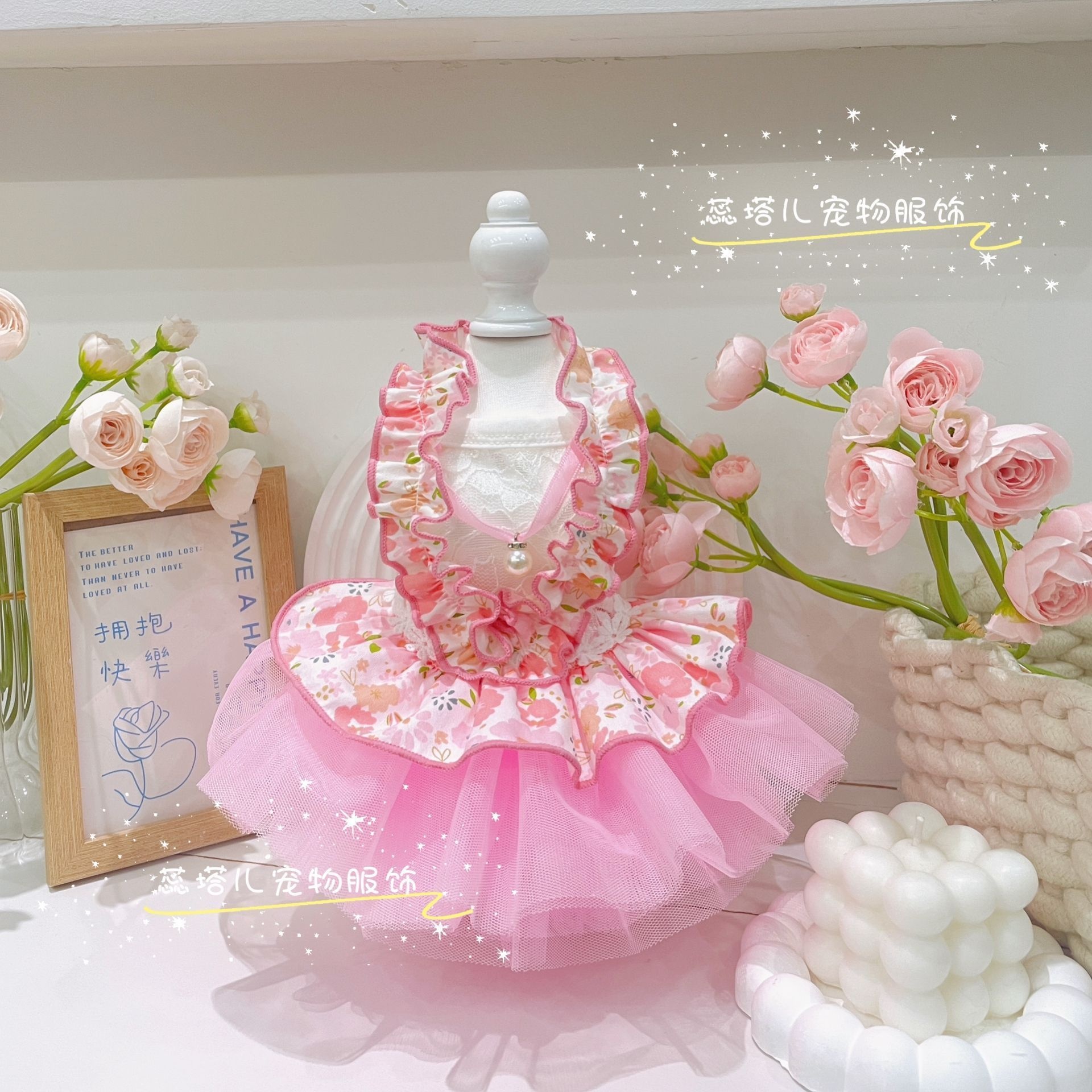 蕊塔儿夏款蕾丝木耳边纱裙宠物服饰约克夏小体比熊泰迪猫狗仙女裙