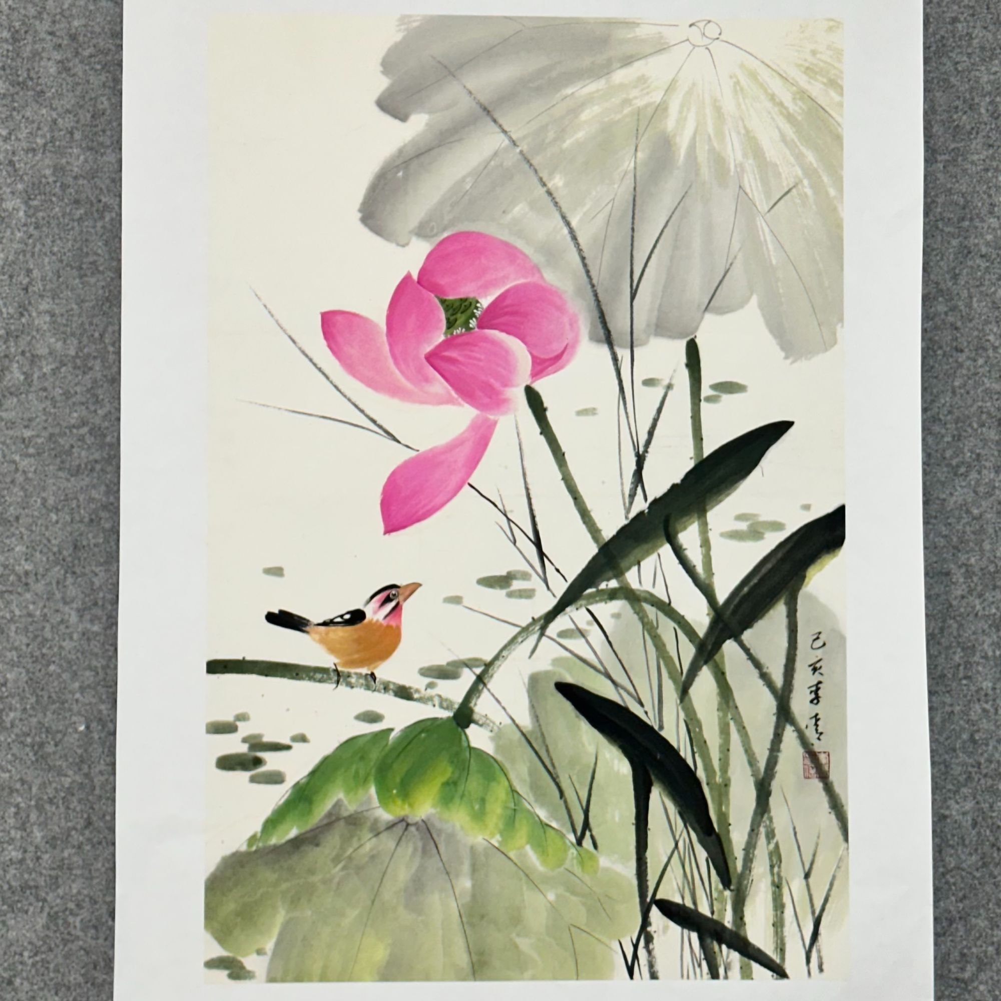 013荷花 翠鸟 花鸟画 李青 挂客厅 书房 玄关 茶室 画芯（45*68）