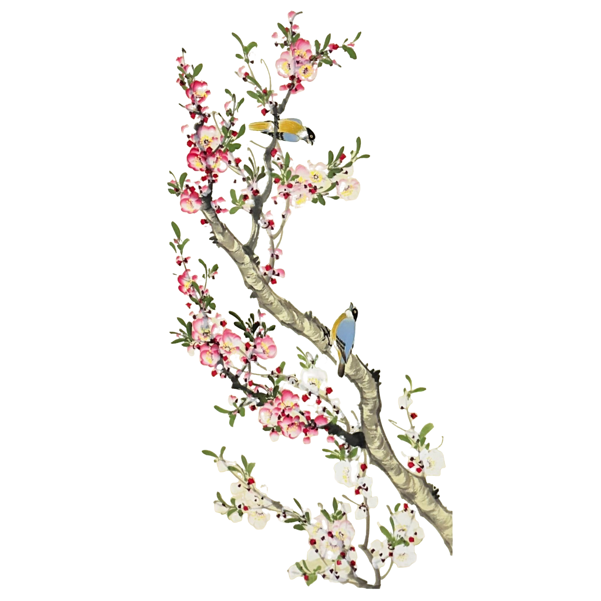 120花鸟画 李青 挂客厅 挂书房 挂玄关（三尺）