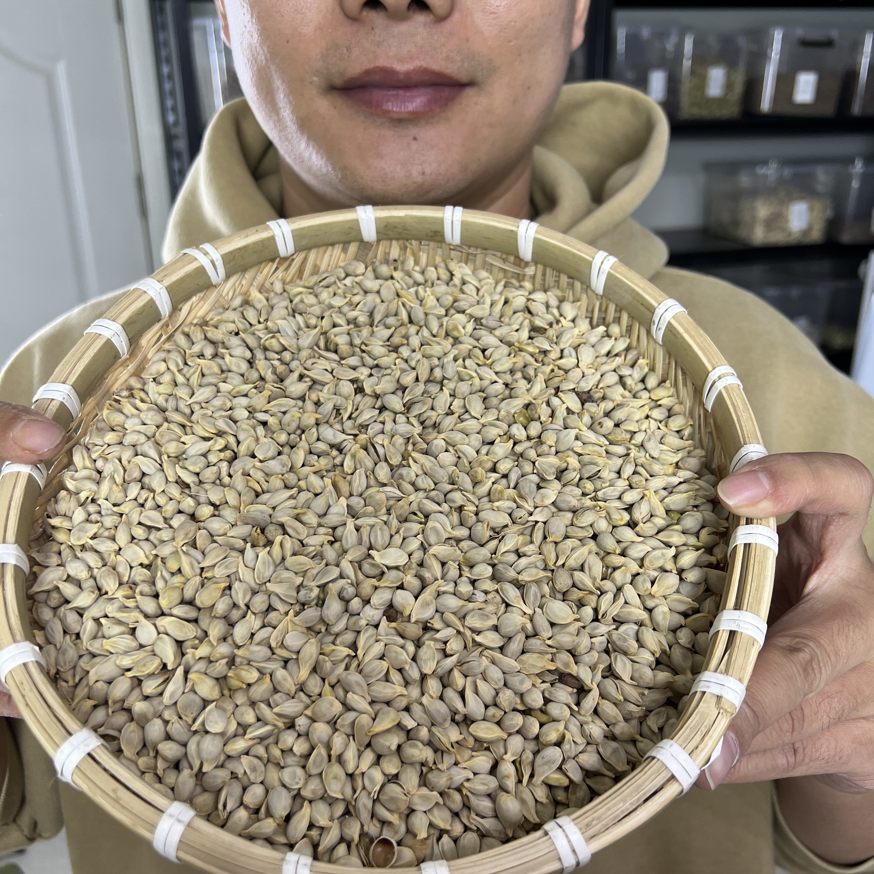 【本草李博士】精选橘核无硫橘核四川道地橘子核桔子核桔核配枸杞