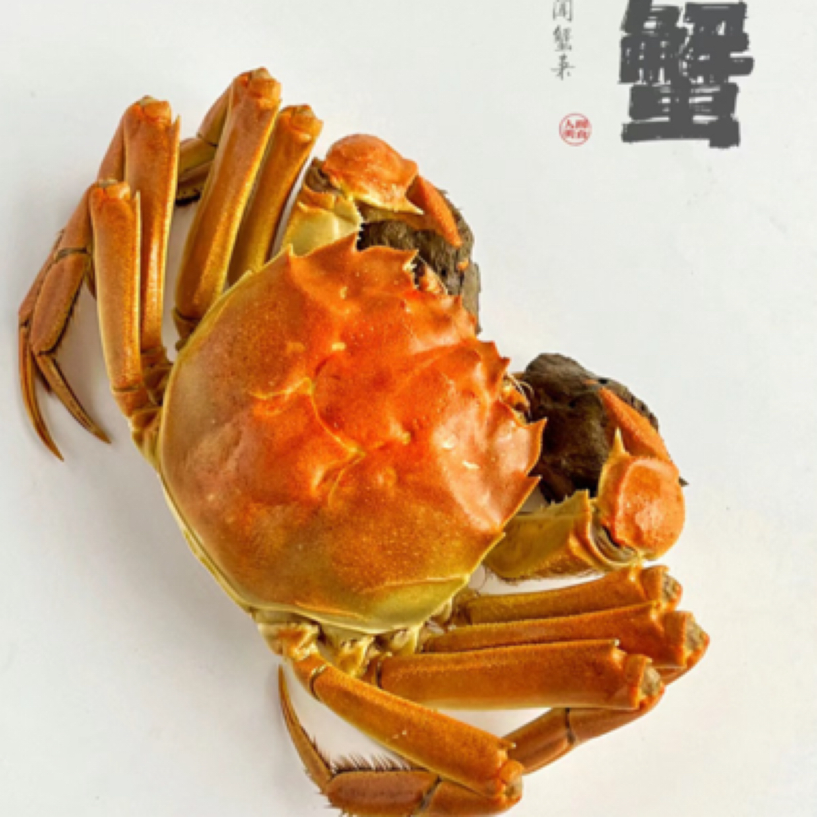 【活蟹】江苏特大闸蟹 母蟹 单只约4.5两(6-20只多种规格可选）