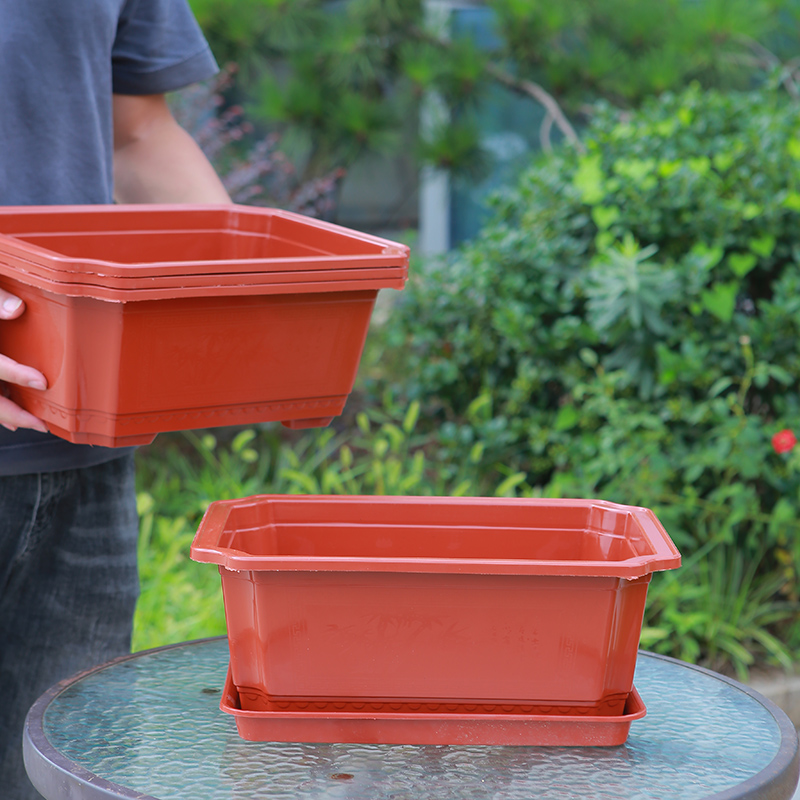 盆景花盆四方菜盆复古长方型八角苗木养花种菜盆栽塑料树脂加厚盆