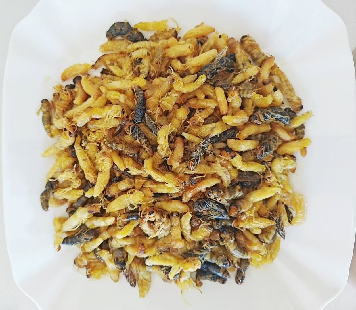 树蜂油炸蜂蛹1234级（有内脏介意勿拍）