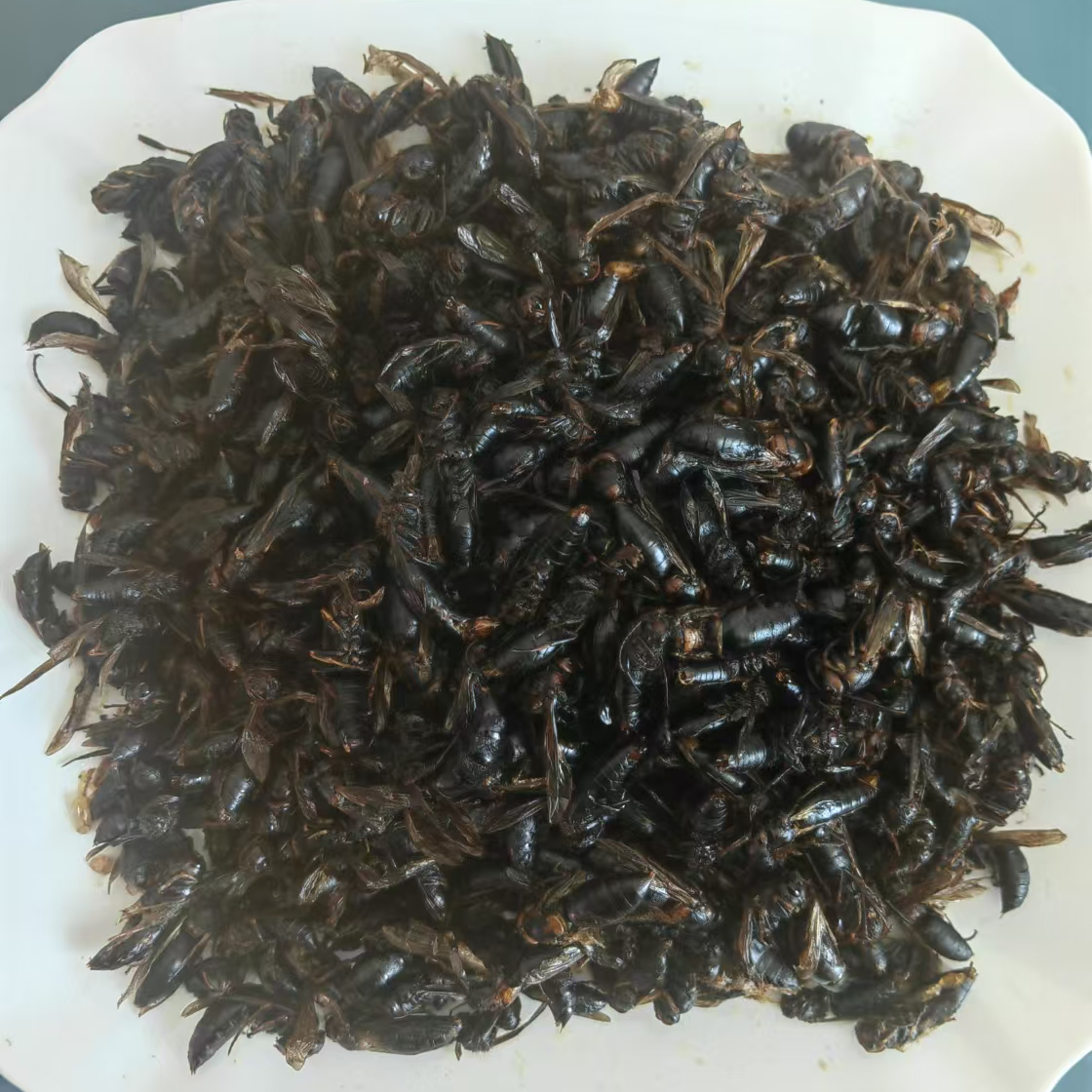 树蜂老蜂油炸5 级