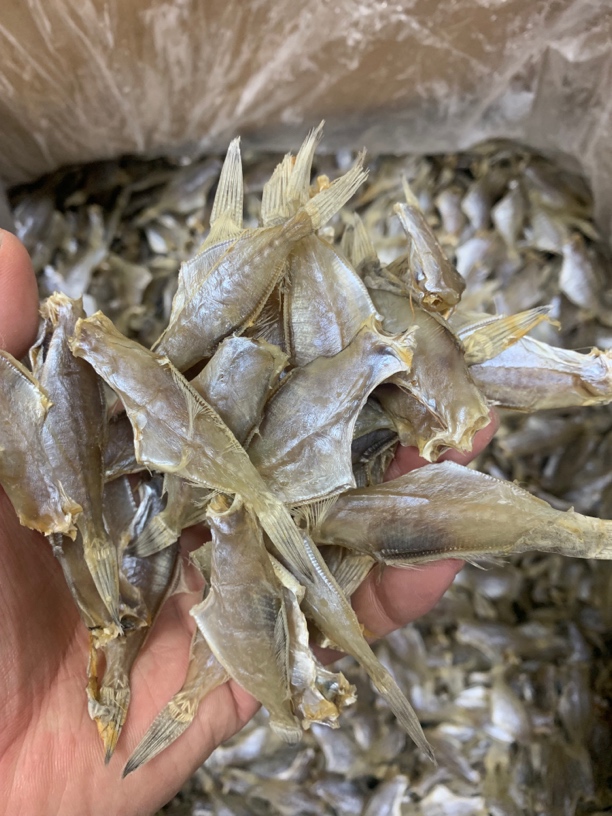 【蚝西施专线】本港淡晒小马面鱼（200-400条）扒皮香煎爆炒清蒸包邮