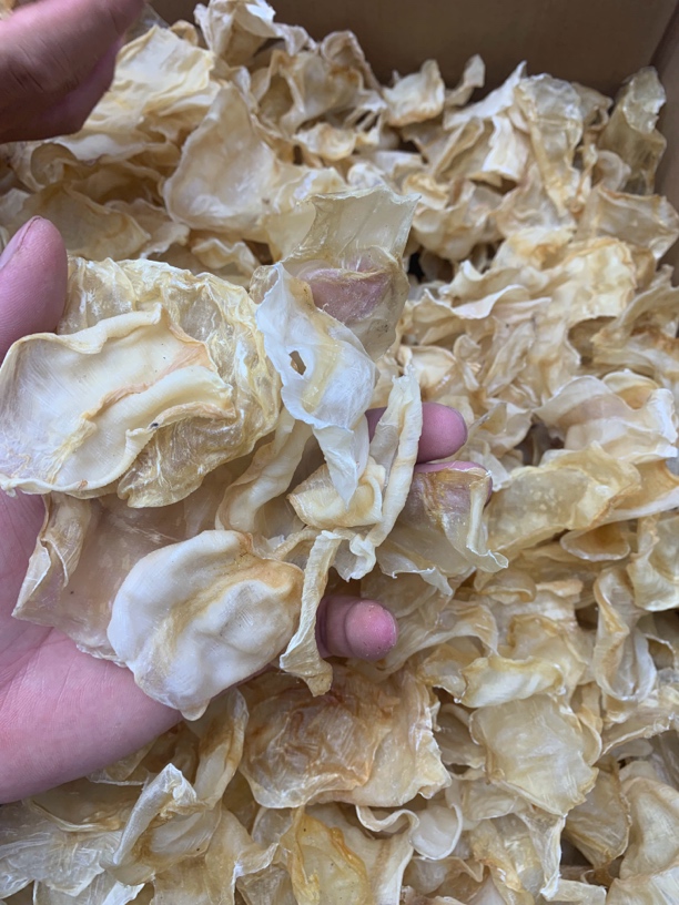 【蚝西施专线】本港鸡蛋鱼胶干包邮