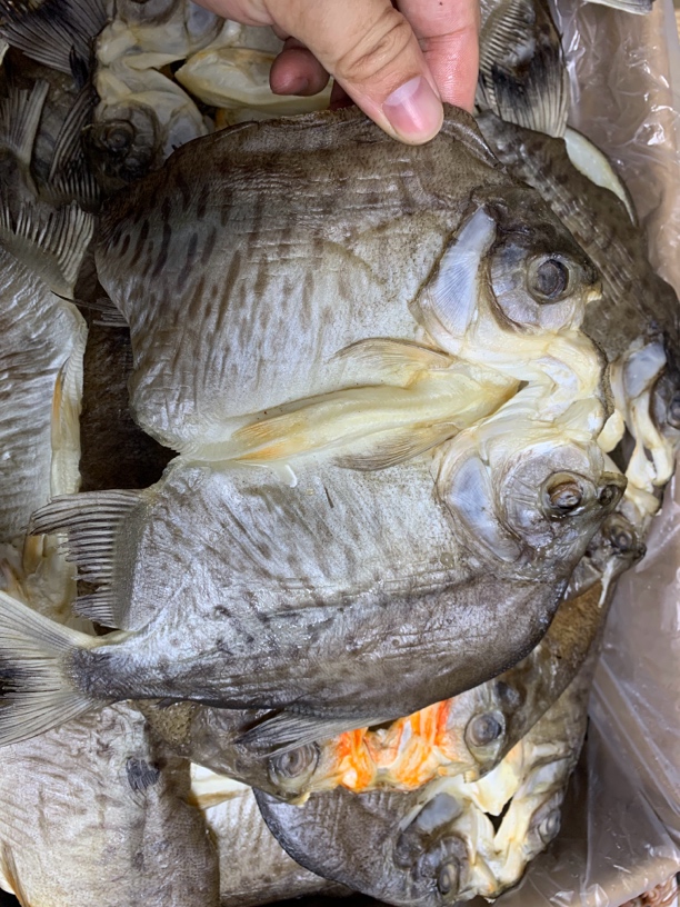 【蚝西施专线】本港红鲳鱼片包邮