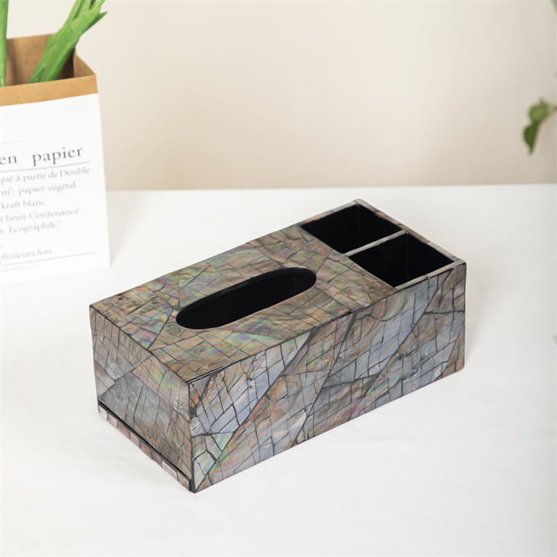 T多功能带遥控器收纳全澳鲍纸巾盒简约办公欧式轻奢时尚客厅纸巾