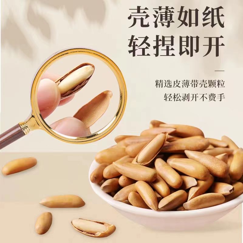 新鲜长粒薄皮巴西新货松子500g/10g袋装罐装特大坚果零食进口休闲