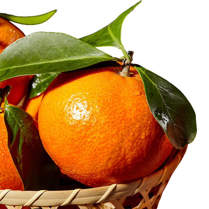 正宗象山红美人柑橘甜润多汁小众尖货现摘48h发货京东产地直邮 