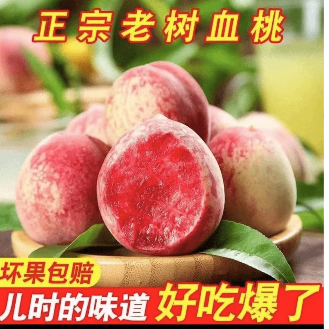 正宗老树血桃胭脂红脆桃当季新鲜水果好吃爽口产地直发【现摘现发】