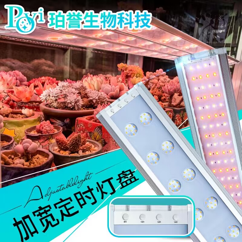 【陳太 推荐1 珀誉多肉补光灯上色全光谱家用防徒仿太阳植物生长灯