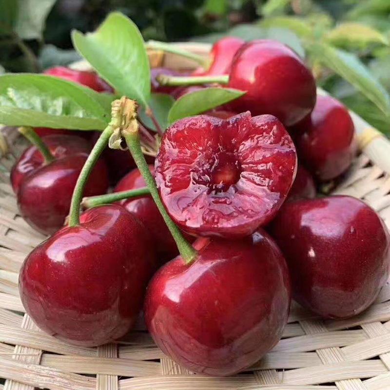 【2号链接】大连美早樱桃2J3J4J5J(28-34mm以上)3.5斤净重