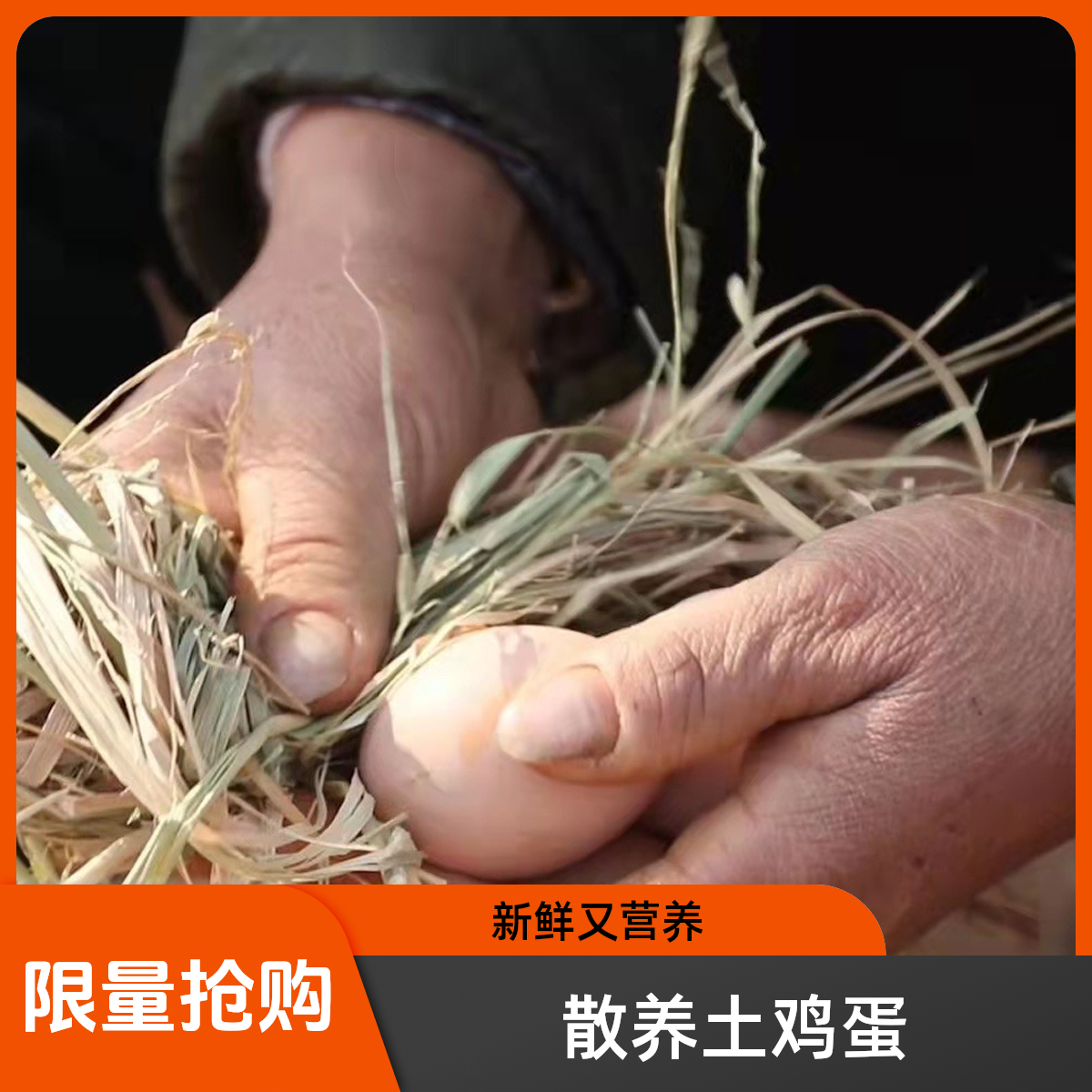 【农家散养正宗土鸡蛋柴鸡蛋】新鲜营养富硒竹林跑山鸡散养鸡土鸡蛋