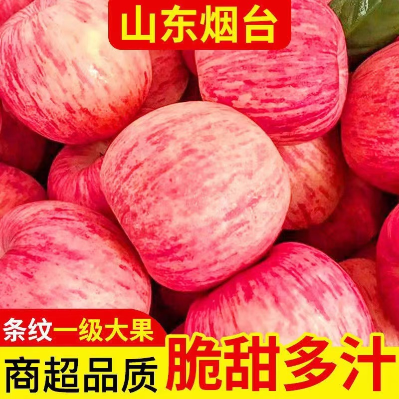 山东烟台红富士5斤当季水果苹果香甜可口肉厚多汁电商盒发货