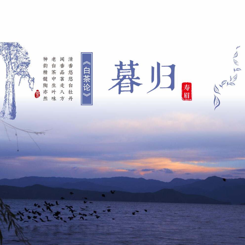 【暮归】2023年寿眉