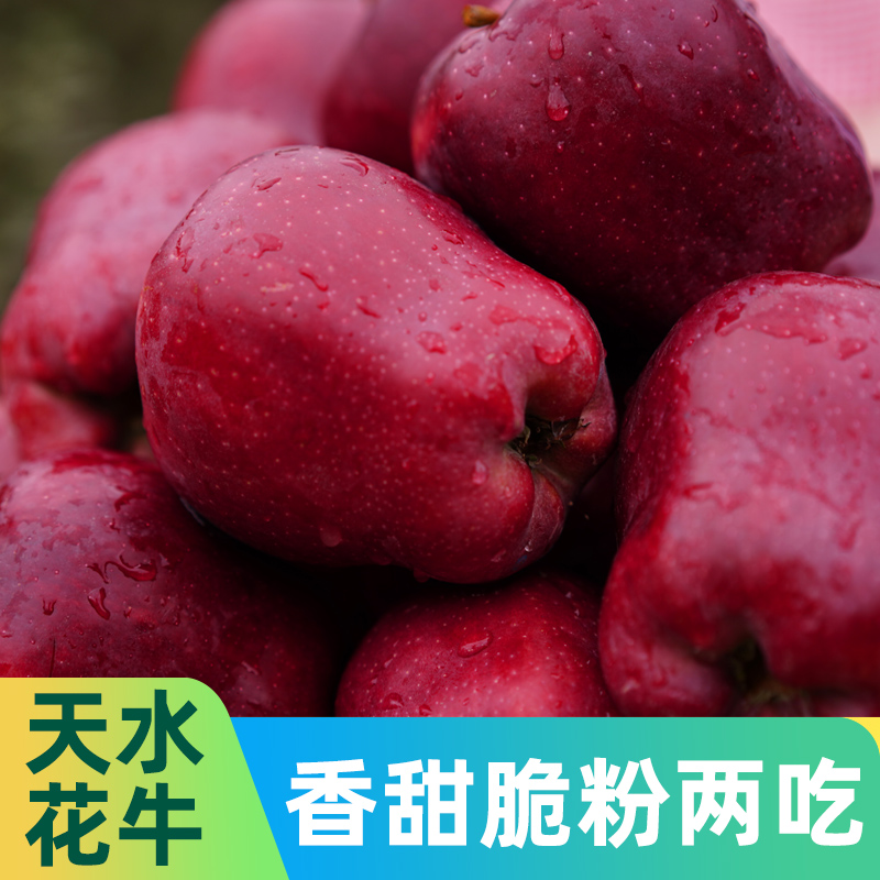 天水红蛇花牛苹果蛇果现摘不打蜡冰糖心脆粉花牛苹果圣诞