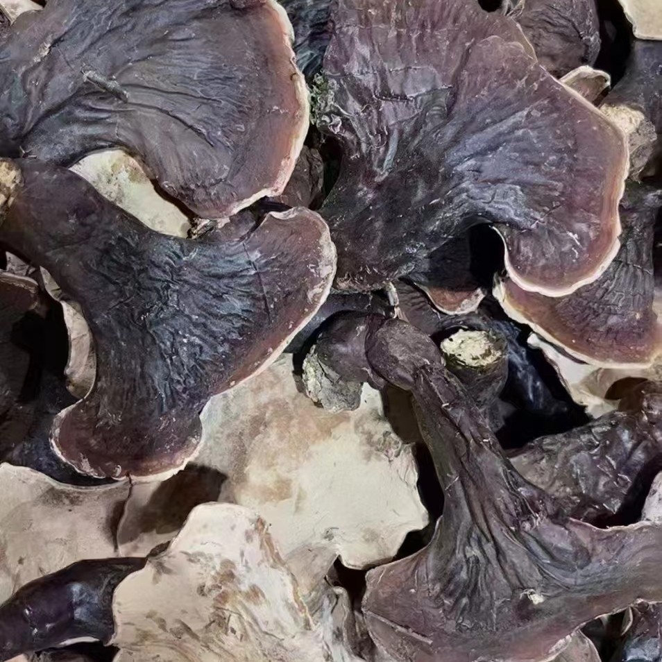 长白山特产  赤芝干   100克