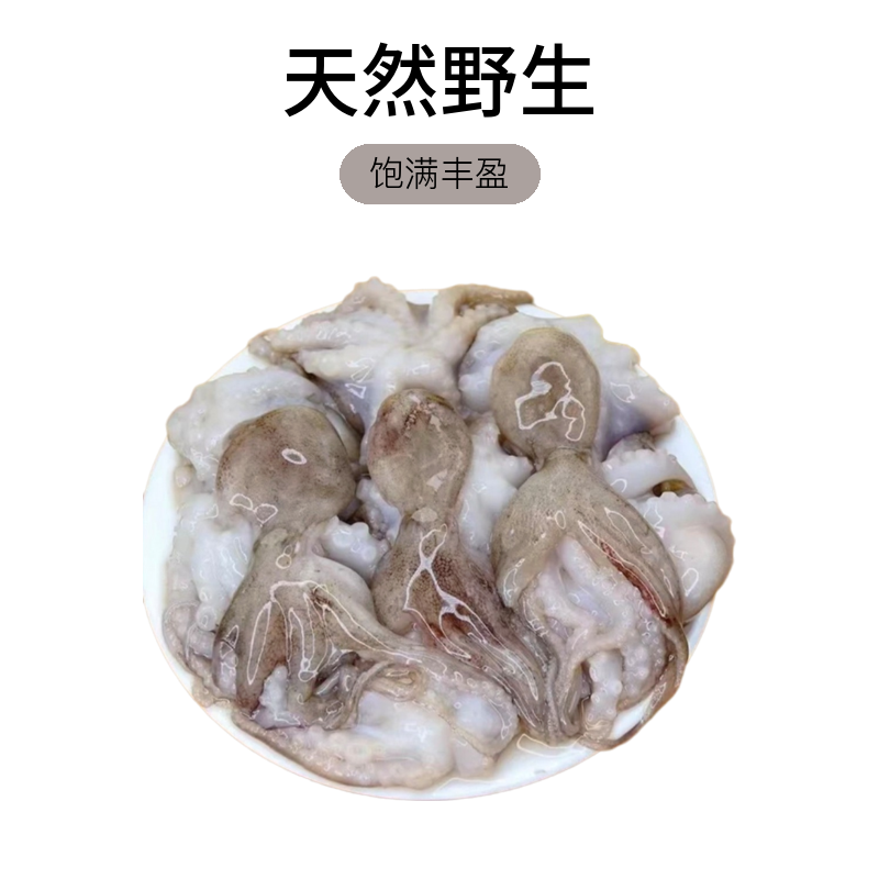 【码头直发】野生小八爪鱼 福建省祥芝港海鲜 顺丰冷链新鲜发货