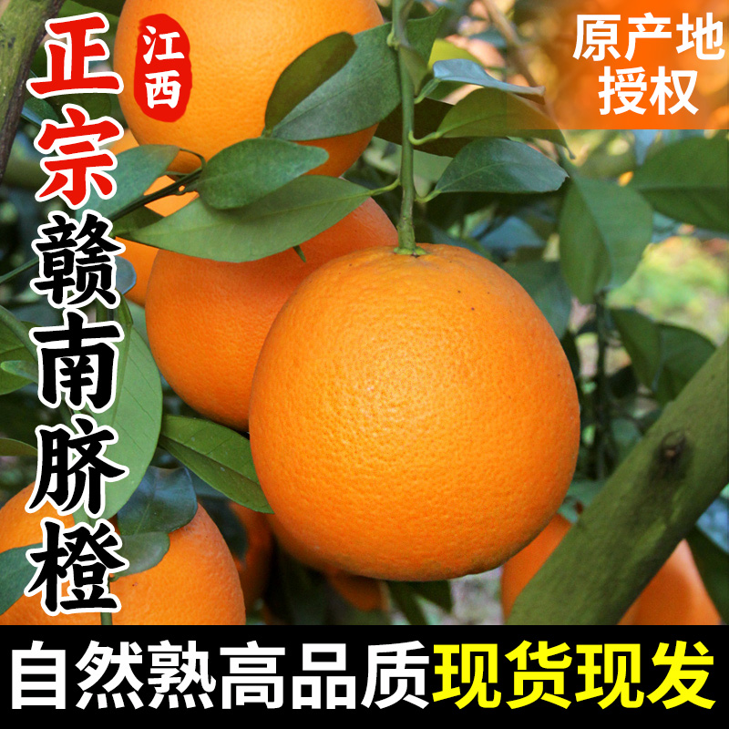 【9斤】正宗赣南脐橙果园直发新鲜多汁
